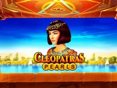 Need for Spin Casino screenshot